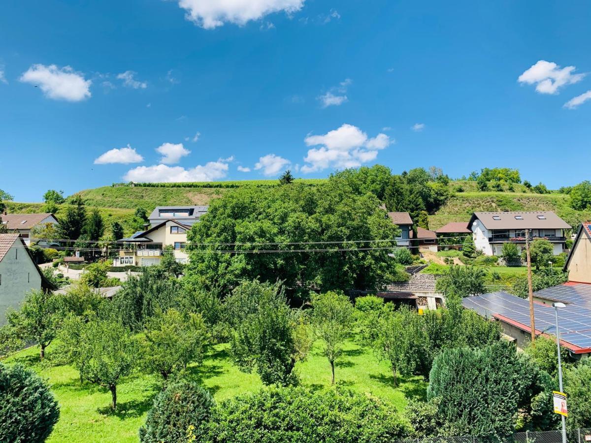 Ferienwohnung Liesel - Kuche, Bad, Wlan, 3 Schlafzimmer, Parkplatz Malterdingen Esterno foto